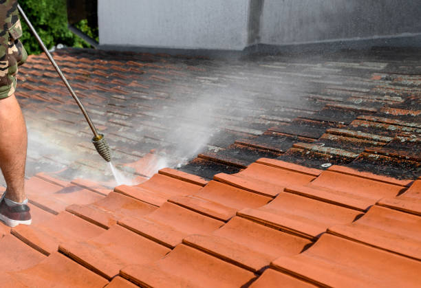 Best Pressure Washing Company Near Me  in Brodheadsville, PA